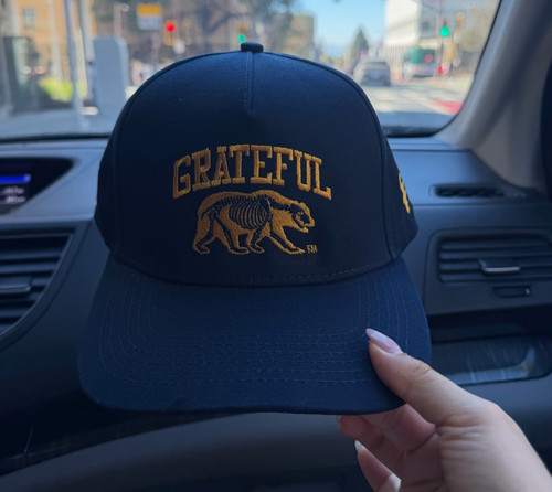 Cal berkeley grateful - berkeley, x